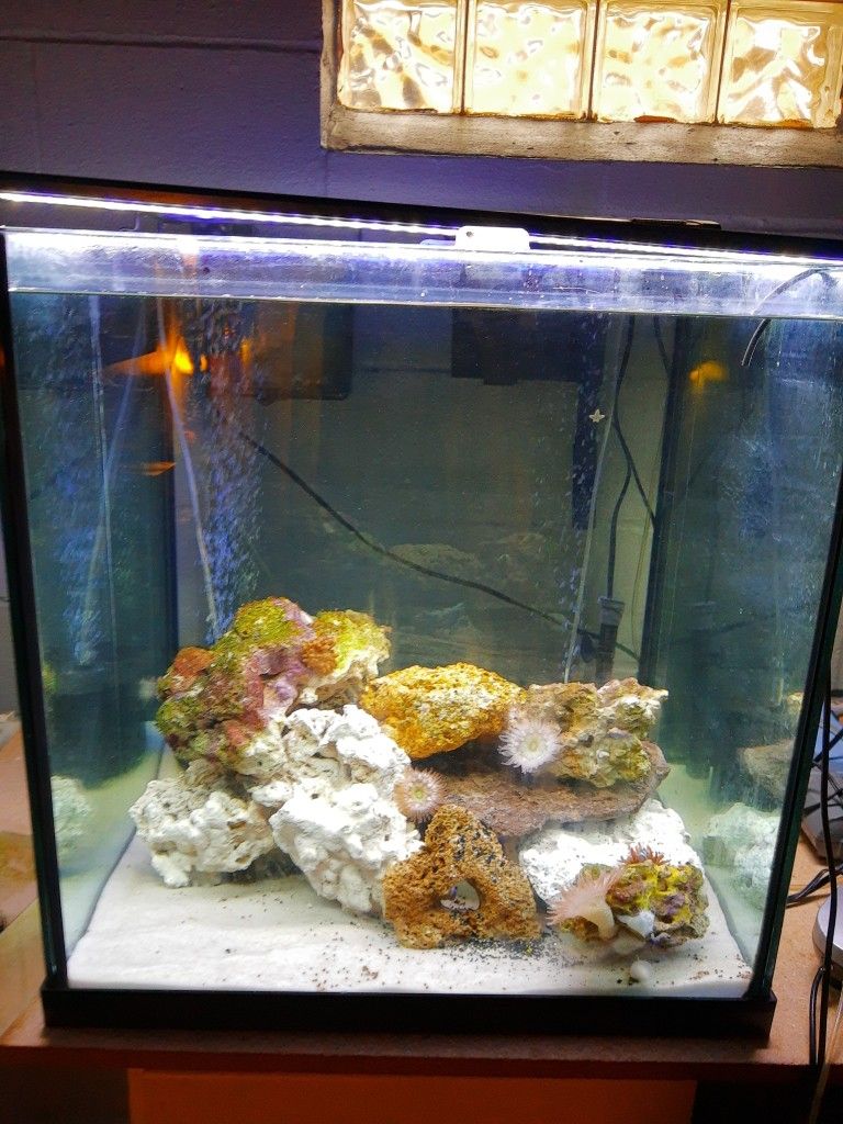 60 Gallon Rimless Cube 