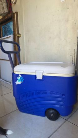 Cooler