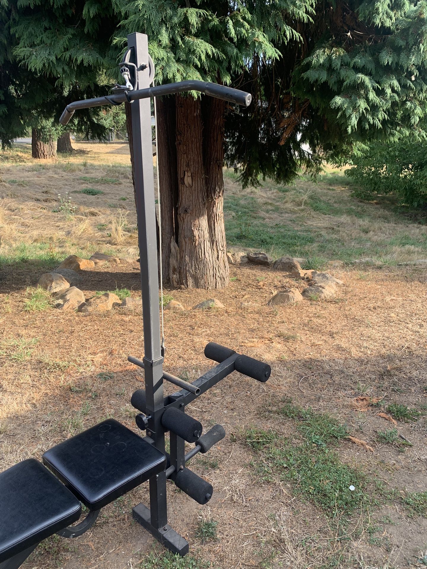 Weight Bench
