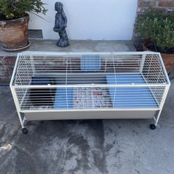 Guinea Pig Cage