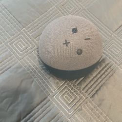 Amazon Echo Dot