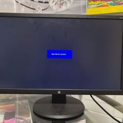 HP 24” Computer Monitor