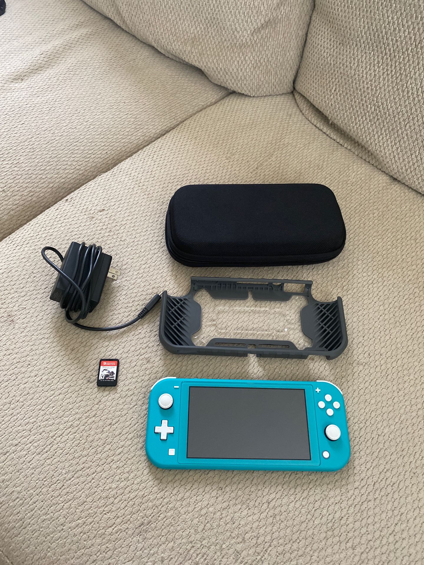 Switch lite