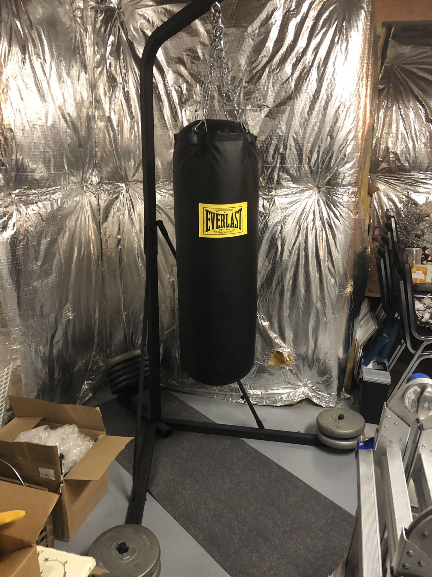 Punching bag with stand and weights in picture