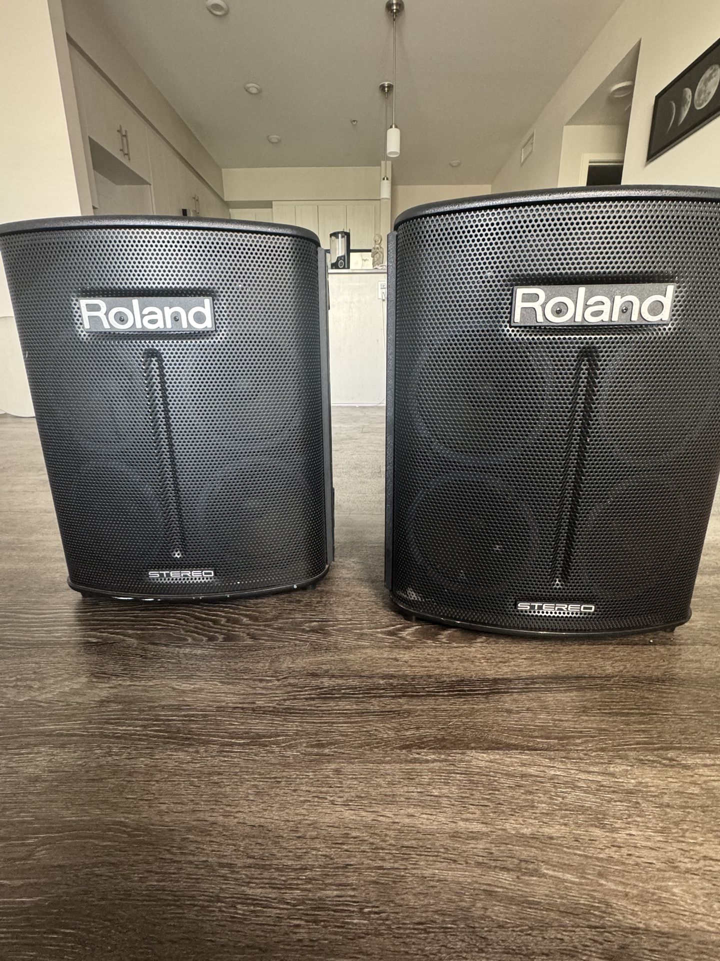 Roland BA 330 Portable PA System