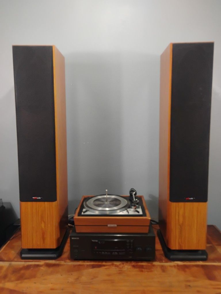 Polk Audio RTi100 Speakers