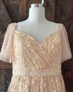Elegant formal dress gown mother of the bride