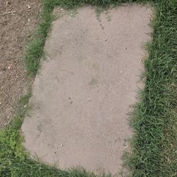 Cement