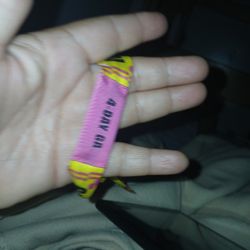 Lollapalooza Sunday 