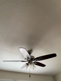 Brown fan