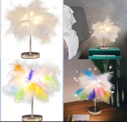 Creative Mini Feather Table Lamp with Firework LED Beads - Energy Efficient Touch Control for Bedroom & Living Room