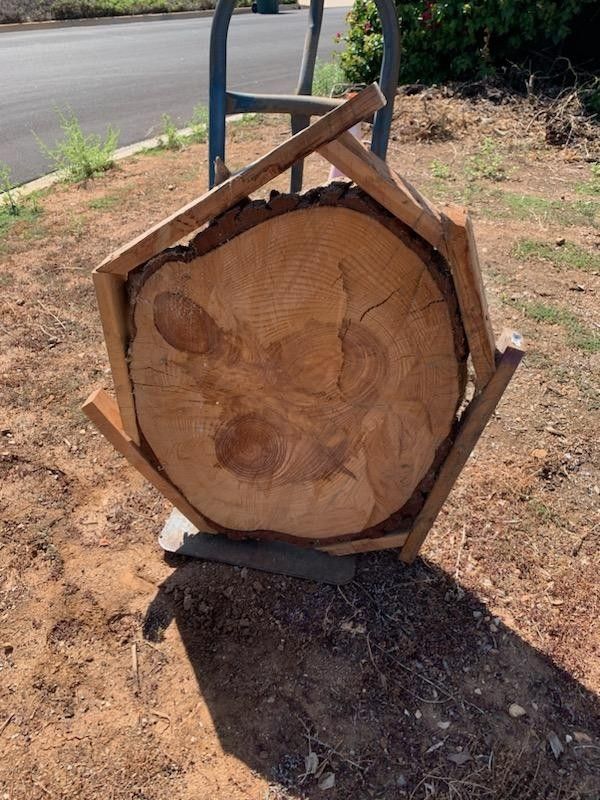 Free Fire Wood