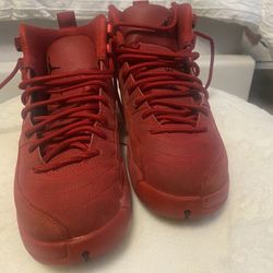 Jordan’s 12 Retro 
