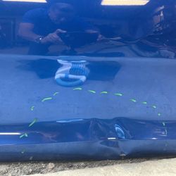 2021 Kia Stinger Door