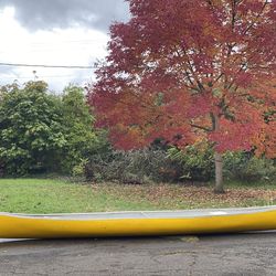 Wabash Valley Canoe & Marine 19’ fiberglass canoe