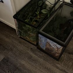 10 gallon  tanks