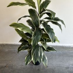 Artificial Plant Paradise 45”