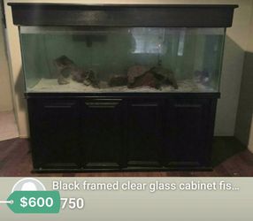 GOOD CONDITION 200 GALLON FISH TANK