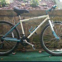 Specialized Rockhopper Vintage Repainted