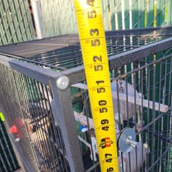 Metal Birds Cage