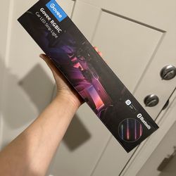 Brand New Govee Car Lights