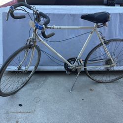Vintage Huffy Bicycle Dayton, Ohio Pro 10 Speed Has Where Needs To Be Fixed Make Offer. Please Make Offer Please