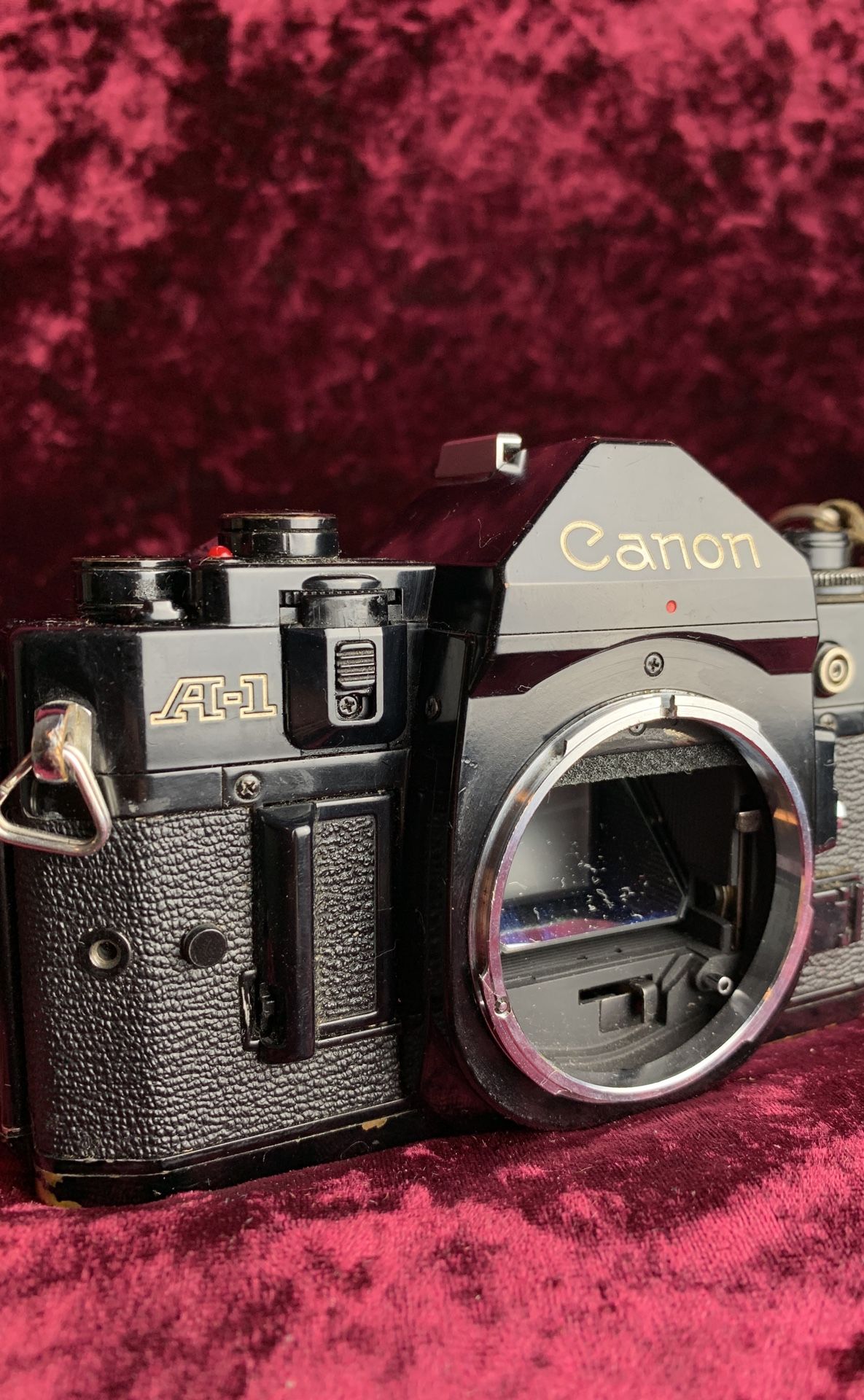 Canon a-1(read)