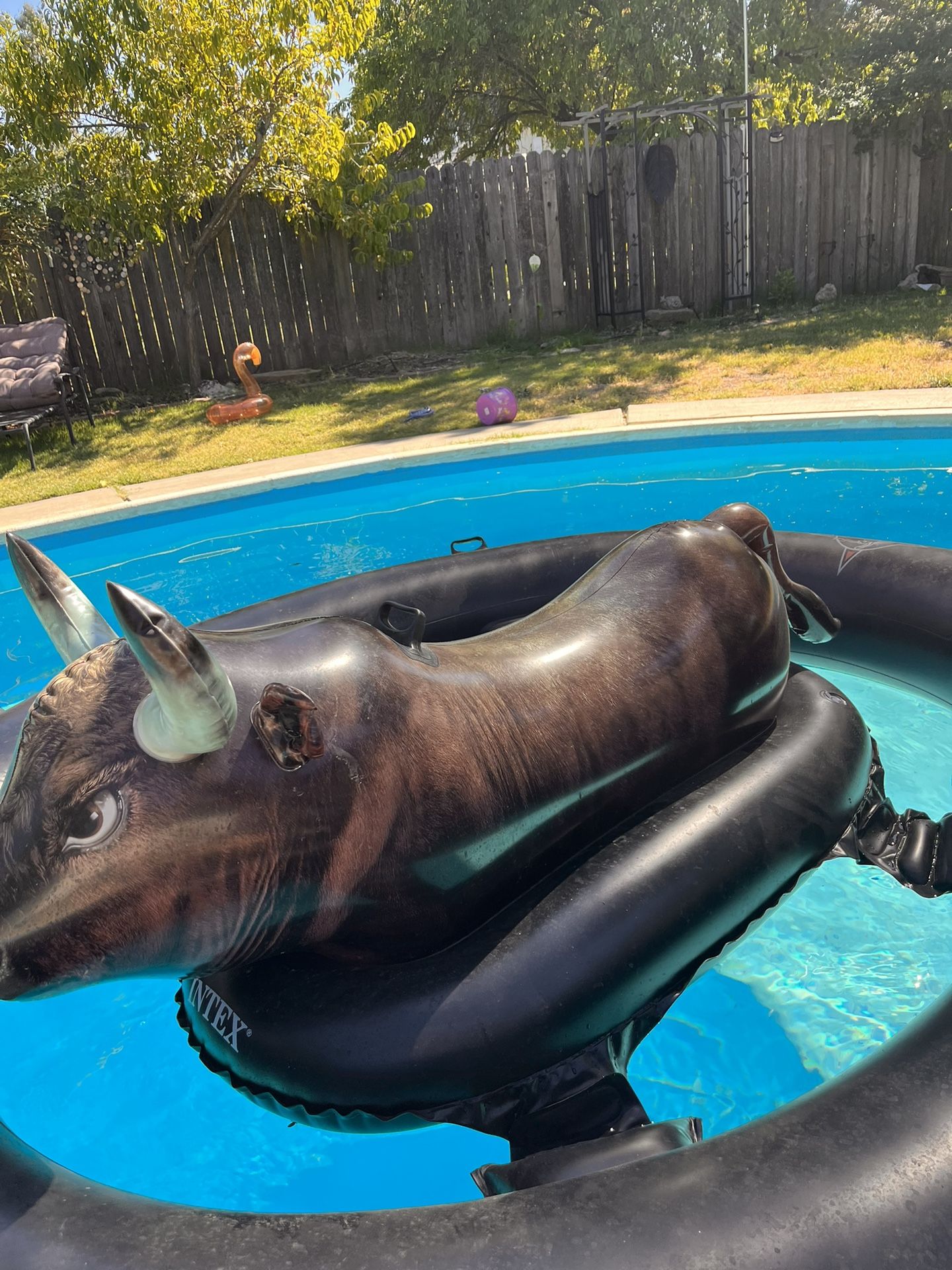 Mechanical Bull Pool Float NEW! Intex InflataBull Inflatable Pool