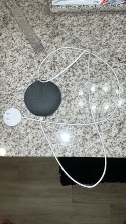Hey google speaker