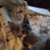 Serenity Kibby
