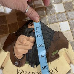 Howard’s Wizards Only  Resin Plaque 