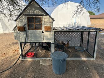 Chicken coup