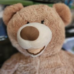 Big Plush Bear 🧸 FREE