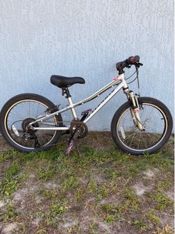 Specialized Hotrock Kids Mountain Bike