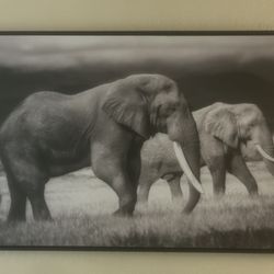 Elephant Artwork 