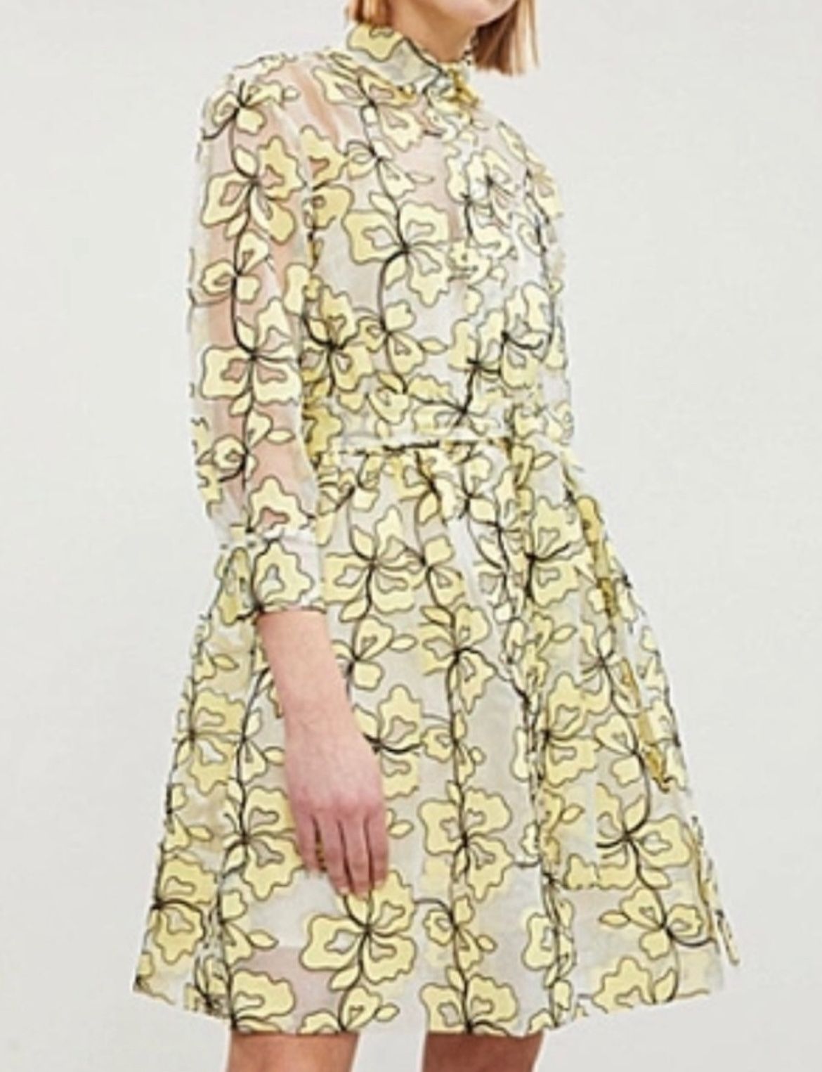 Maje Reality Floral-embroidered Organza Shirt Dress