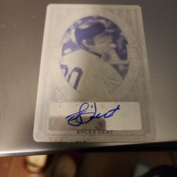 Leaf Auto2024