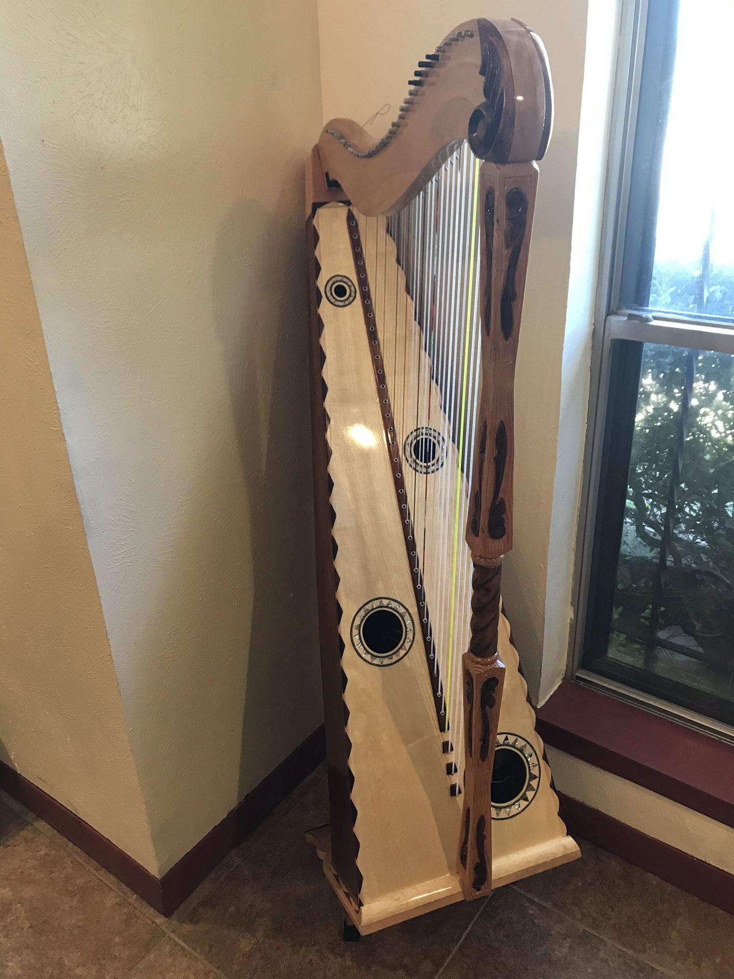 Arpa Jalisciense / Jalisco Harp