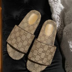 Slides 
