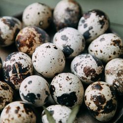 Huevos Godorniz, Codorniz De Rancho