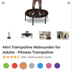 Leaps and Rebounds Fitness Trampoline 48"