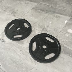 Pair Of 35lb Olympic Weights Plates Total 70lb