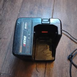 Echo 58v Charger