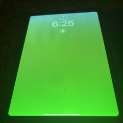 10th Generation I Pad 6 Weeks Old 350$