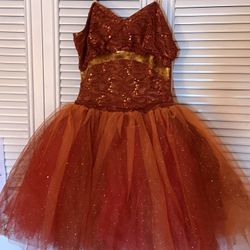 Sparkly Dress/Costume 