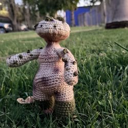 Mushroom Crochet Lady 
