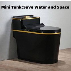 Luxury Black Toilets 