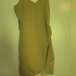 New With Tags Beige Dress