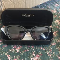Coach sunglasses