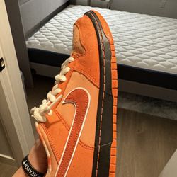 Orange SB Lobstah dunks 